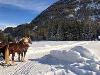 /album/fotogalerie/iujjttqdqyqspoxhs3kqng-jpg/